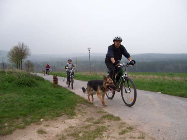 Dasty Ausdauerpruefung.jpg